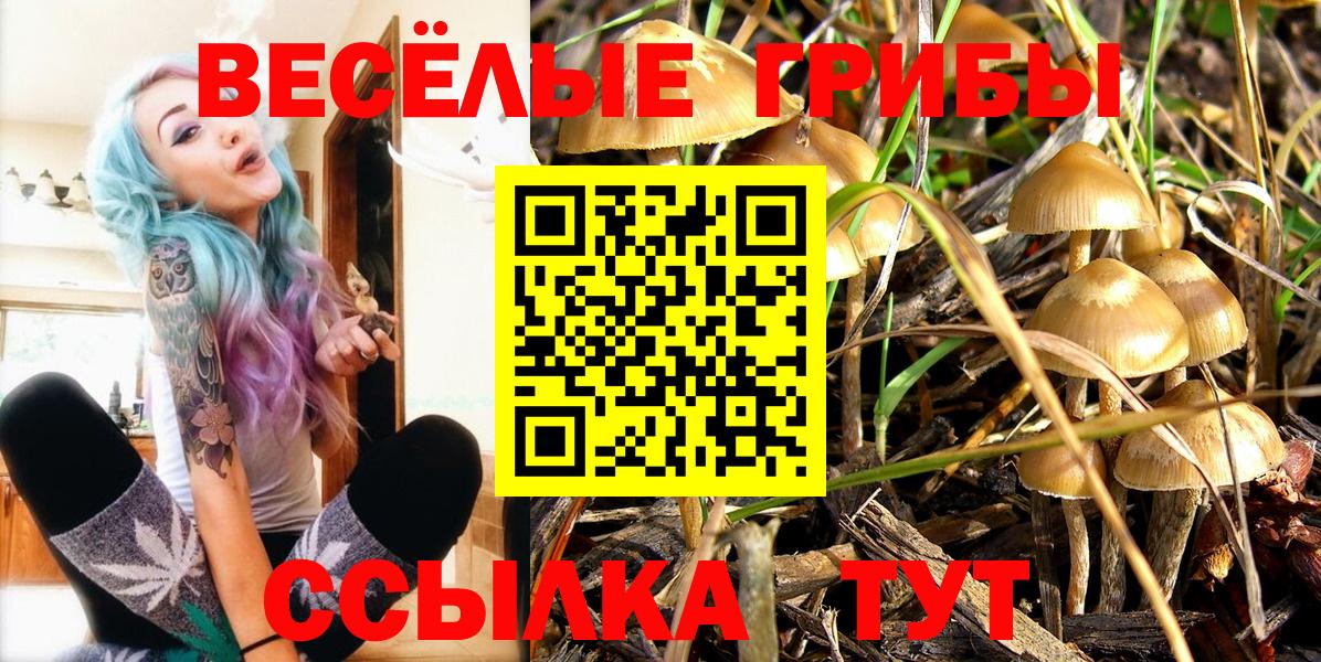 Псилоцибиновые грибы Magic Shrooms Южно-Сахалинск